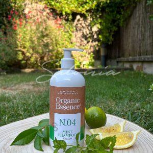 Champú Seagel refrescante Mint 500ml