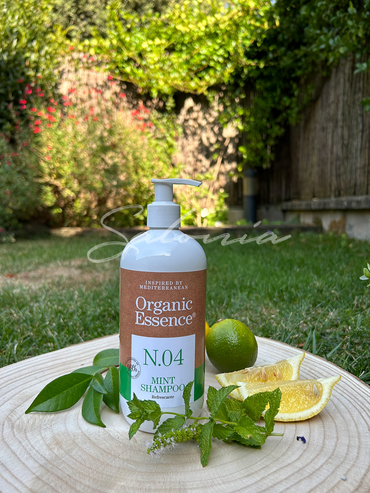 Champú Seagel refrescante Mint 500ml