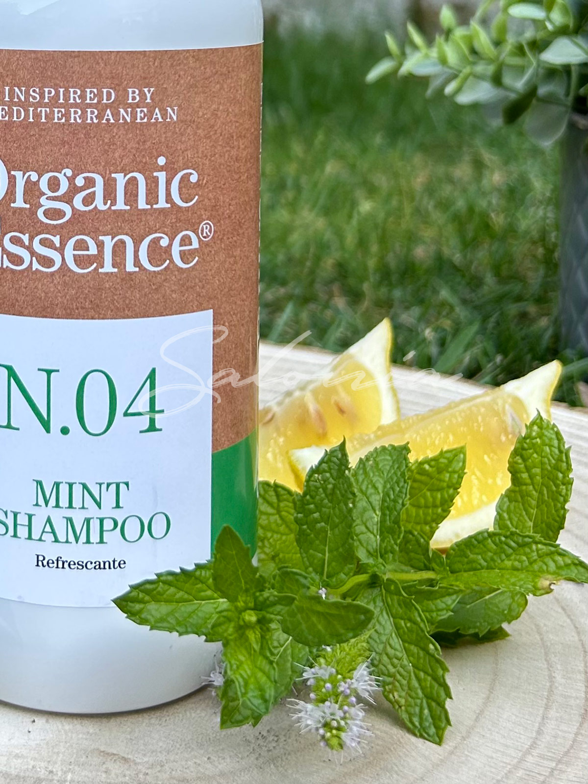 Champú Seagel refrescante Mint 500ml - Imagen 2